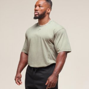gymshark heritage washed t shirt stone grey
